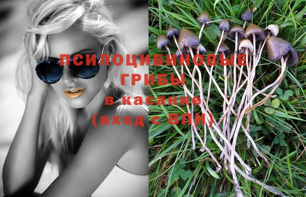 a pvp Покачи