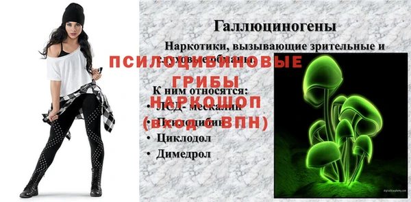 2c-b Алзамай