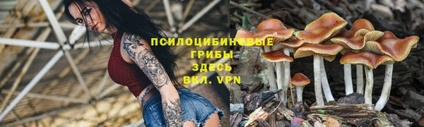 a pvp Покачи